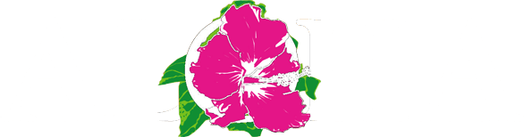 Aloha Laser Vision - See Clearly, Live Aloha